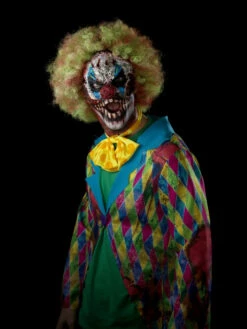 Foam Latex Clown Head Prosthetic -CarnavalKast Winkel 600x800 1872