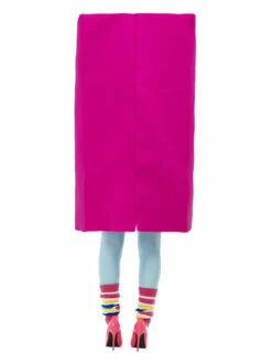 Barbie 3D Box Kostuum -CarnavalKast Winkel 600x800 2303