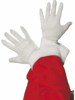 Kerstman Handschoenen
